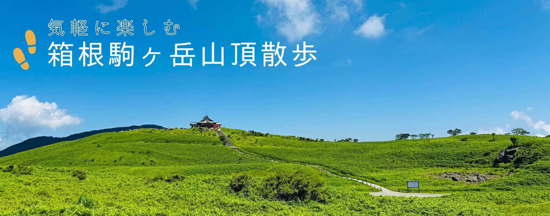 箱根, 駒ヶ岳, 山頂, 散策