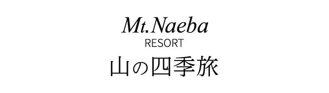 Mt.Naebaロゴイメージ