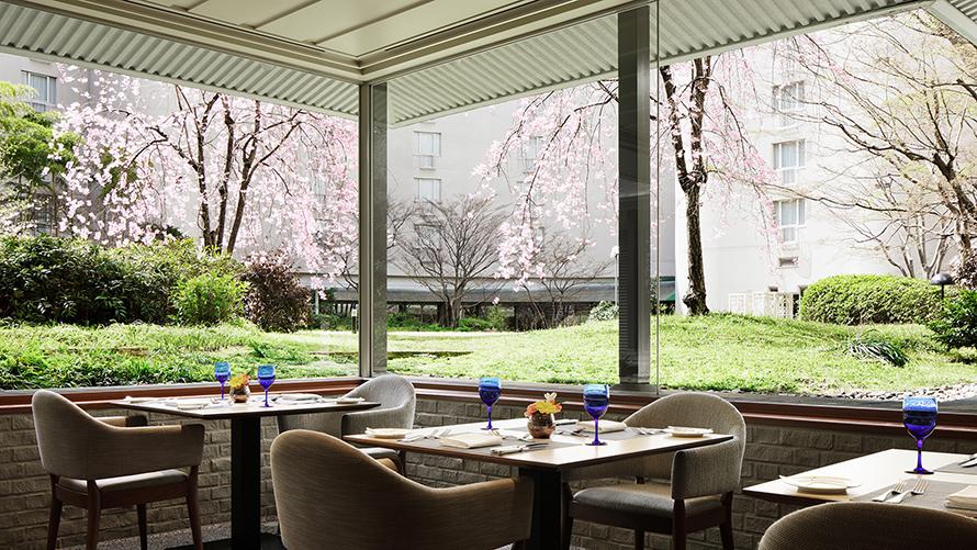 桜の季節には、店内から「いと桜」を望むことができます。