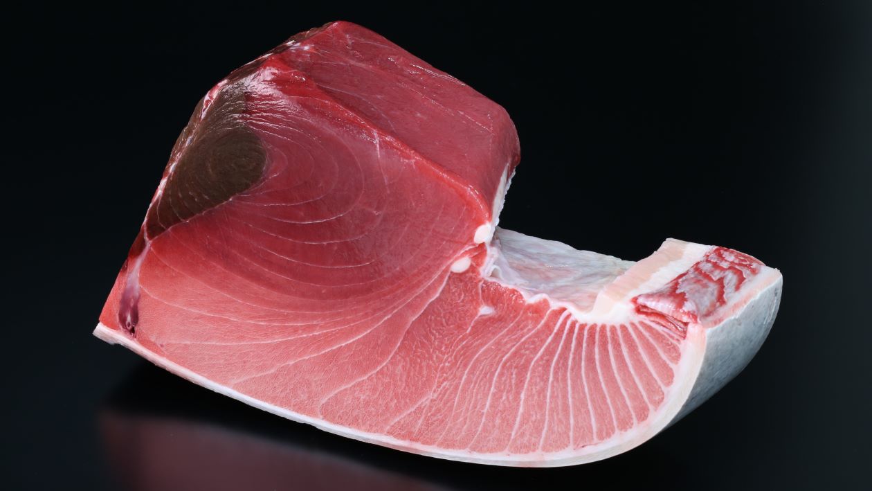 ミナミマグロ（限定50食）