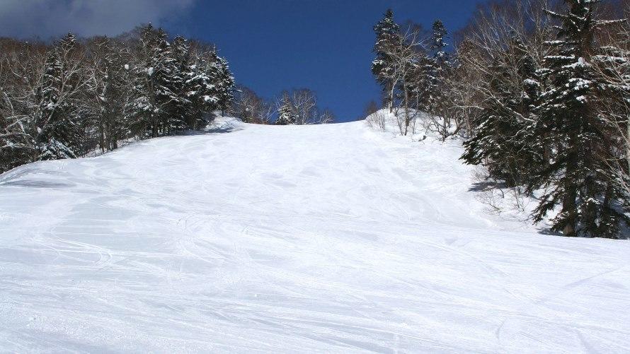D2コース