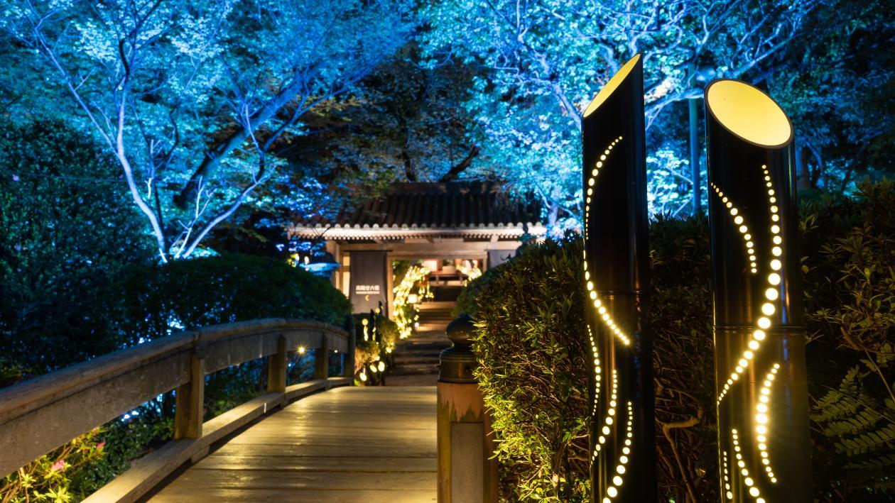 夜の日本庭園に竹あかりが灯っている。