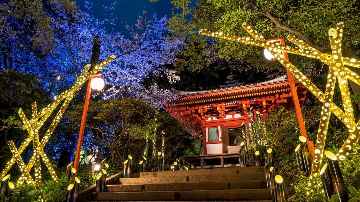 夜の日本庭園で観音堂とその周辺の竹あかりが明るく灯っている。