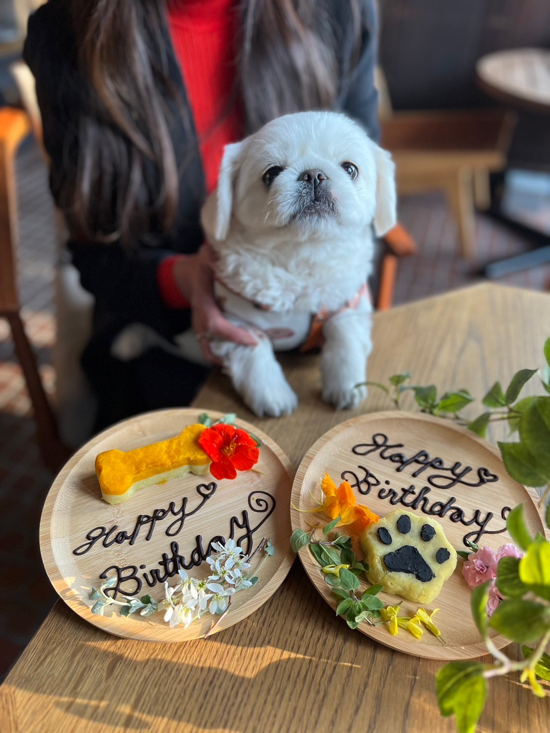 TsuruTonTan UDON NOODLE Brasserie 軽井沢ワンちゃんメニュー③