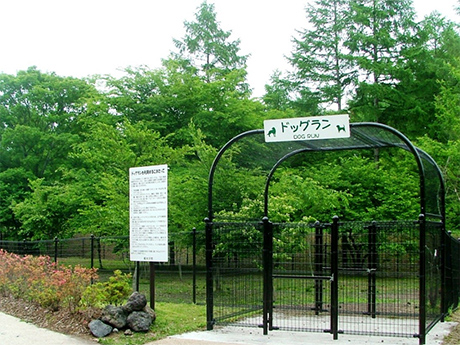 湯川ふるさと公園ドッグラン①