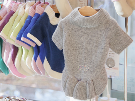 My Cashmere_内観