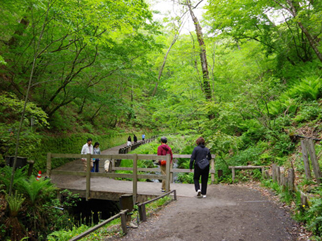 白糸の滝_入口