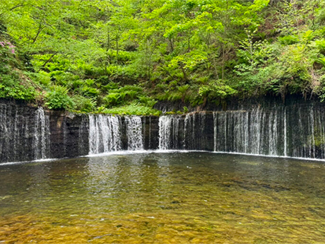 白糸の滝