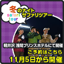 冬のナイトサファリツアー