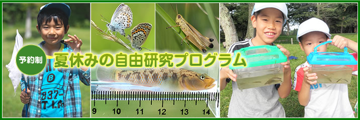 夏休みの自由研究プログラム
