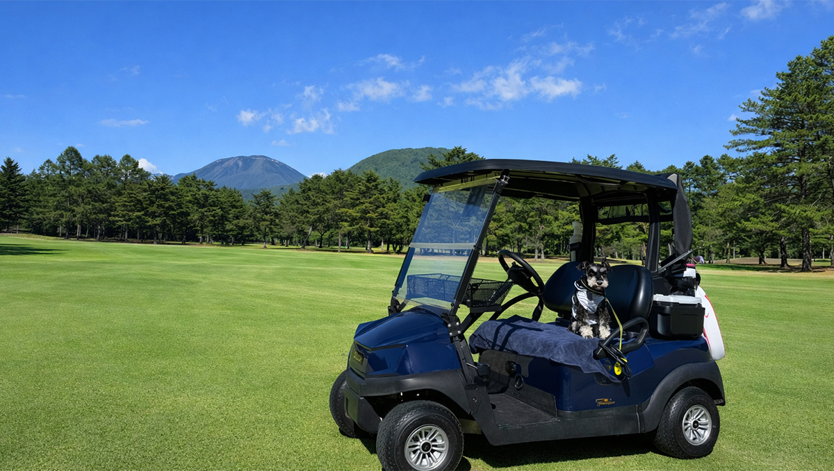 ゴルフカート