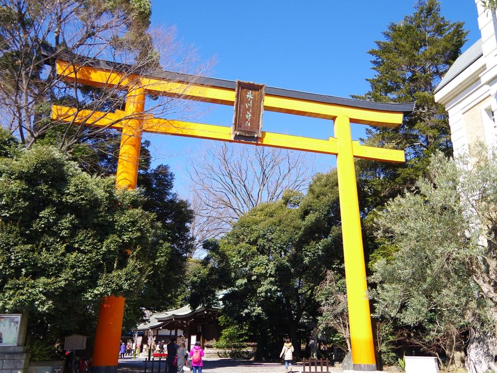 氷川神社イメージ