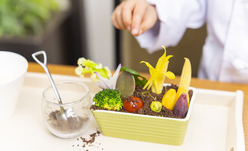 リトルシェフの野菜畑作り