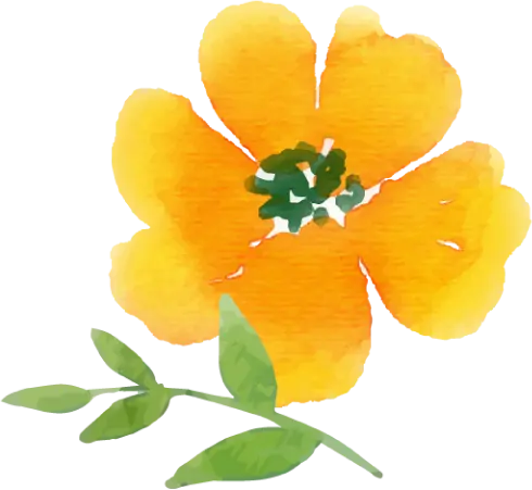 花のイラスト