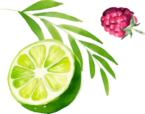 果物のイラスト