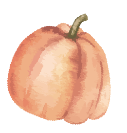 かぼちゃ