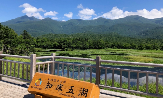 向野橋（こうやばし）