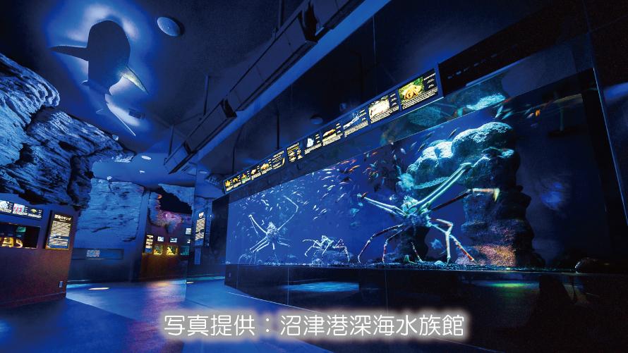 沼津港深海水族館　内観