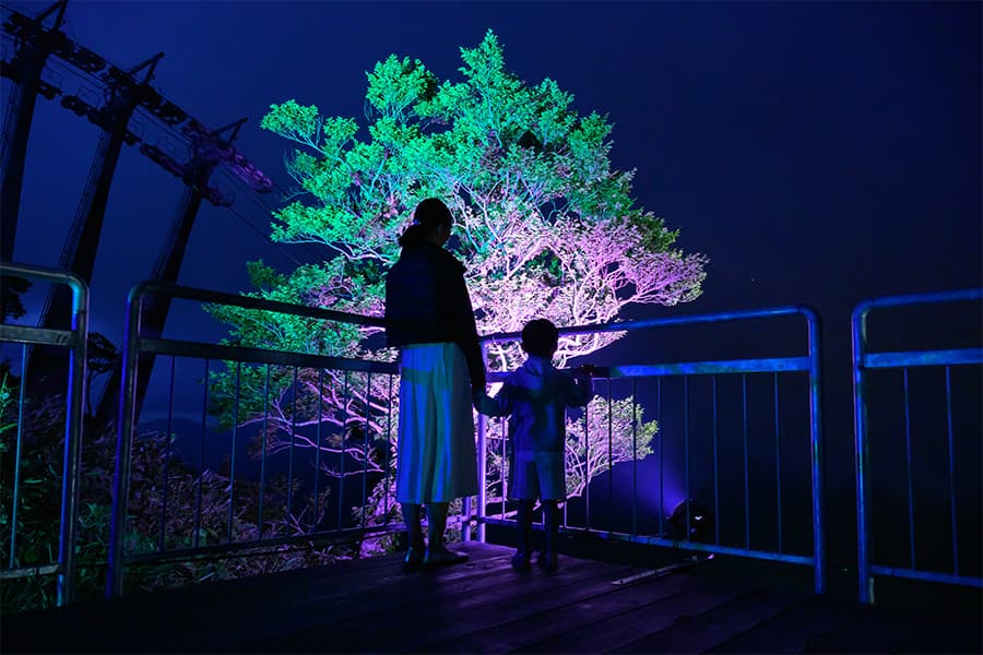 山頂にあるHOSHIZORAテラスには、輝くライトアップが。