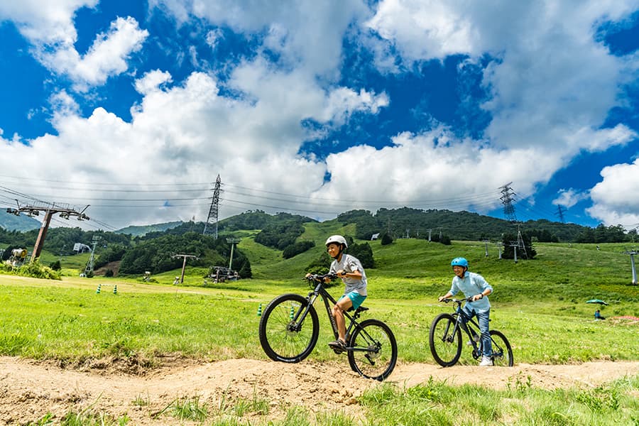 サイクリングで大自然を満喫！