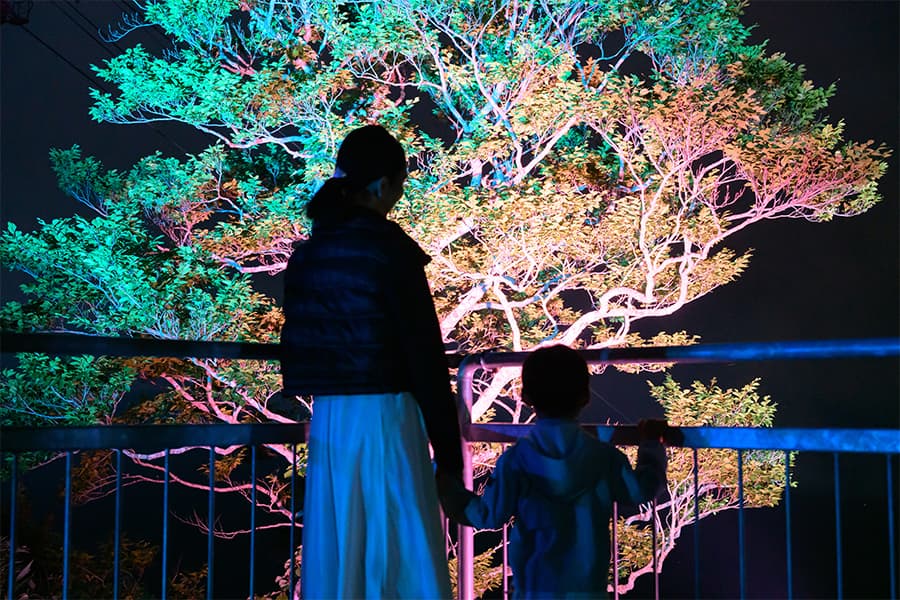「HOSHIZORAテラス」のライトアップ