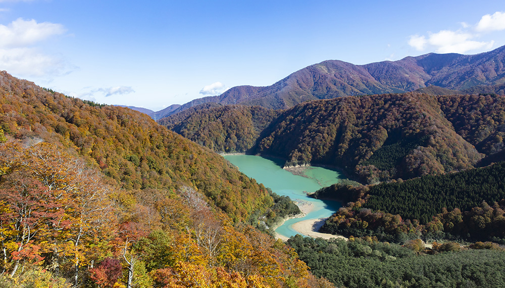 日本最長の紅葉空中散歩