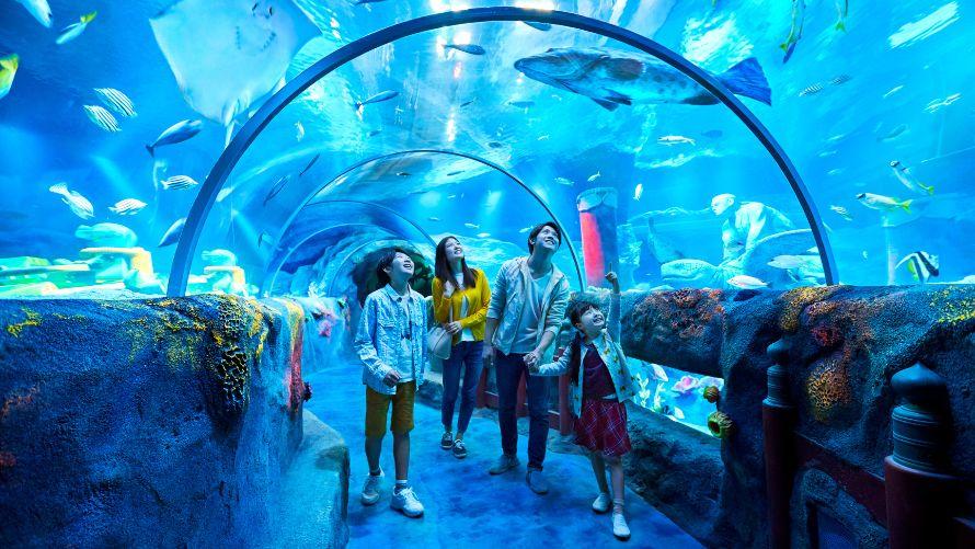 名古屋シーライフ水族館