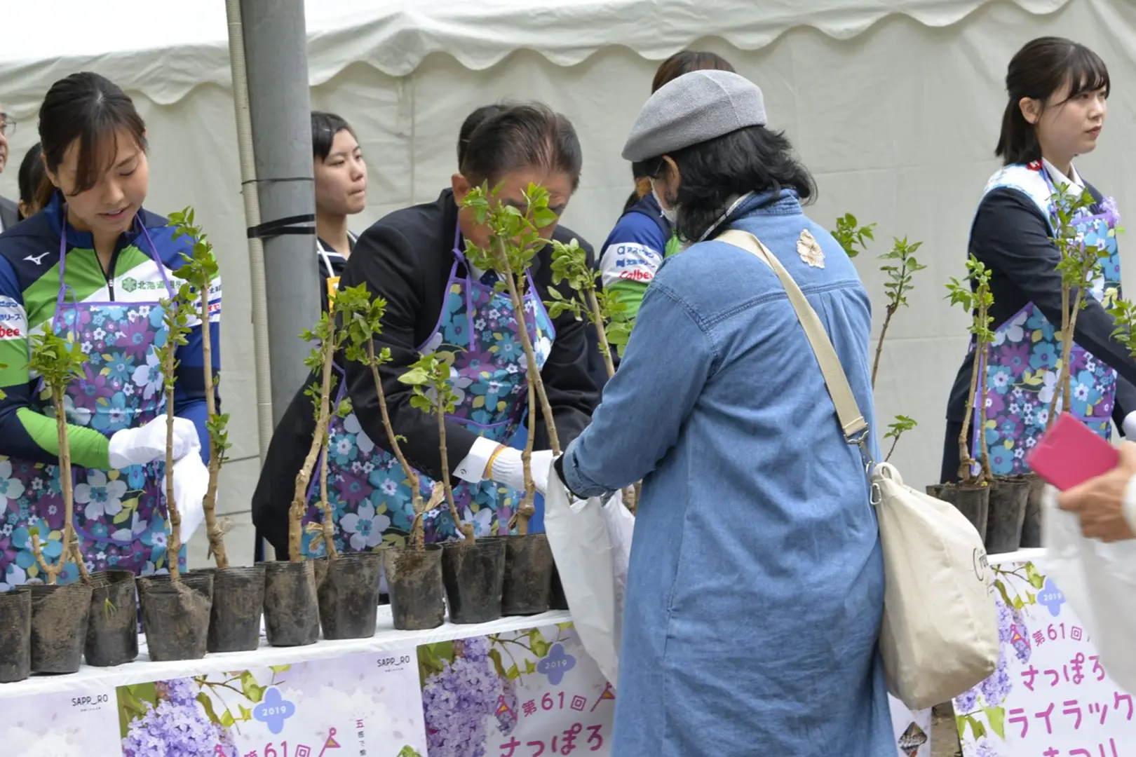 大通会場の見どころ
