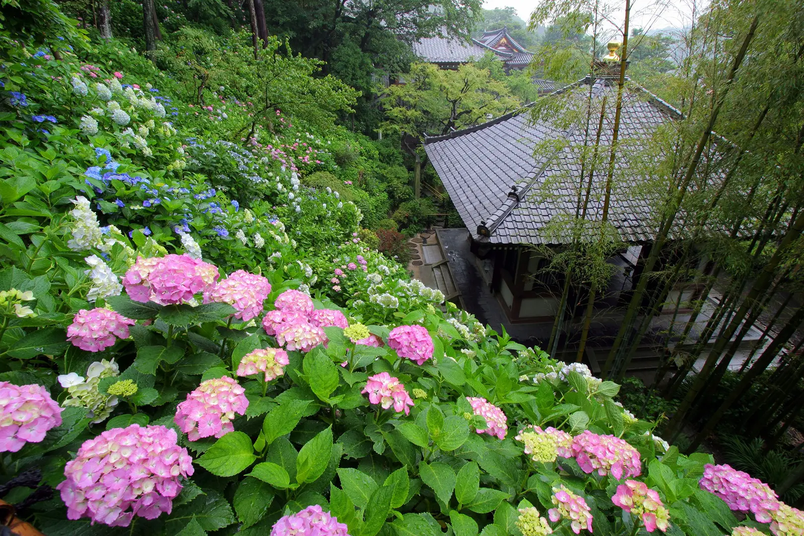 長谷寺