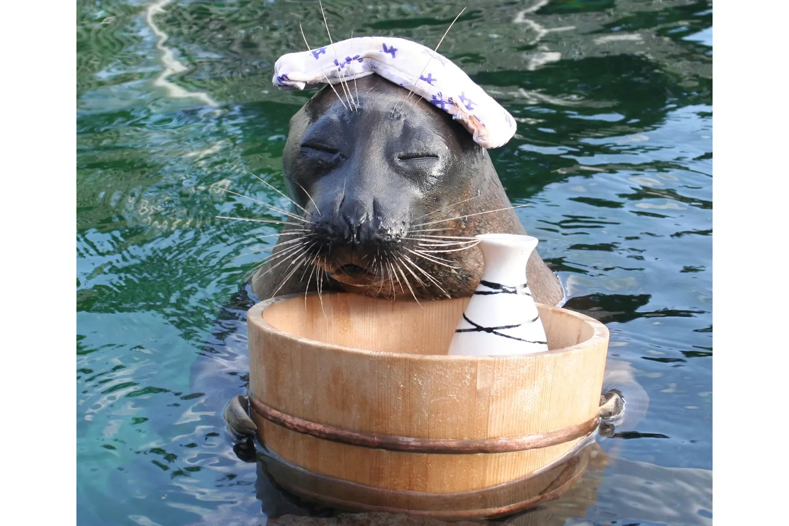 箱根園水族館