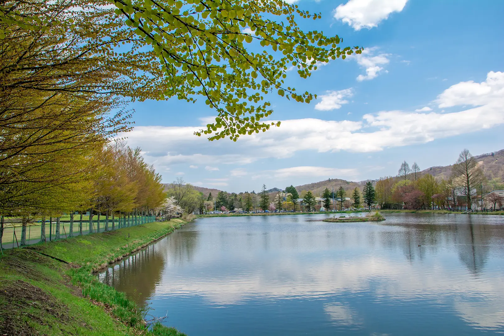 矢ヶ崎公園