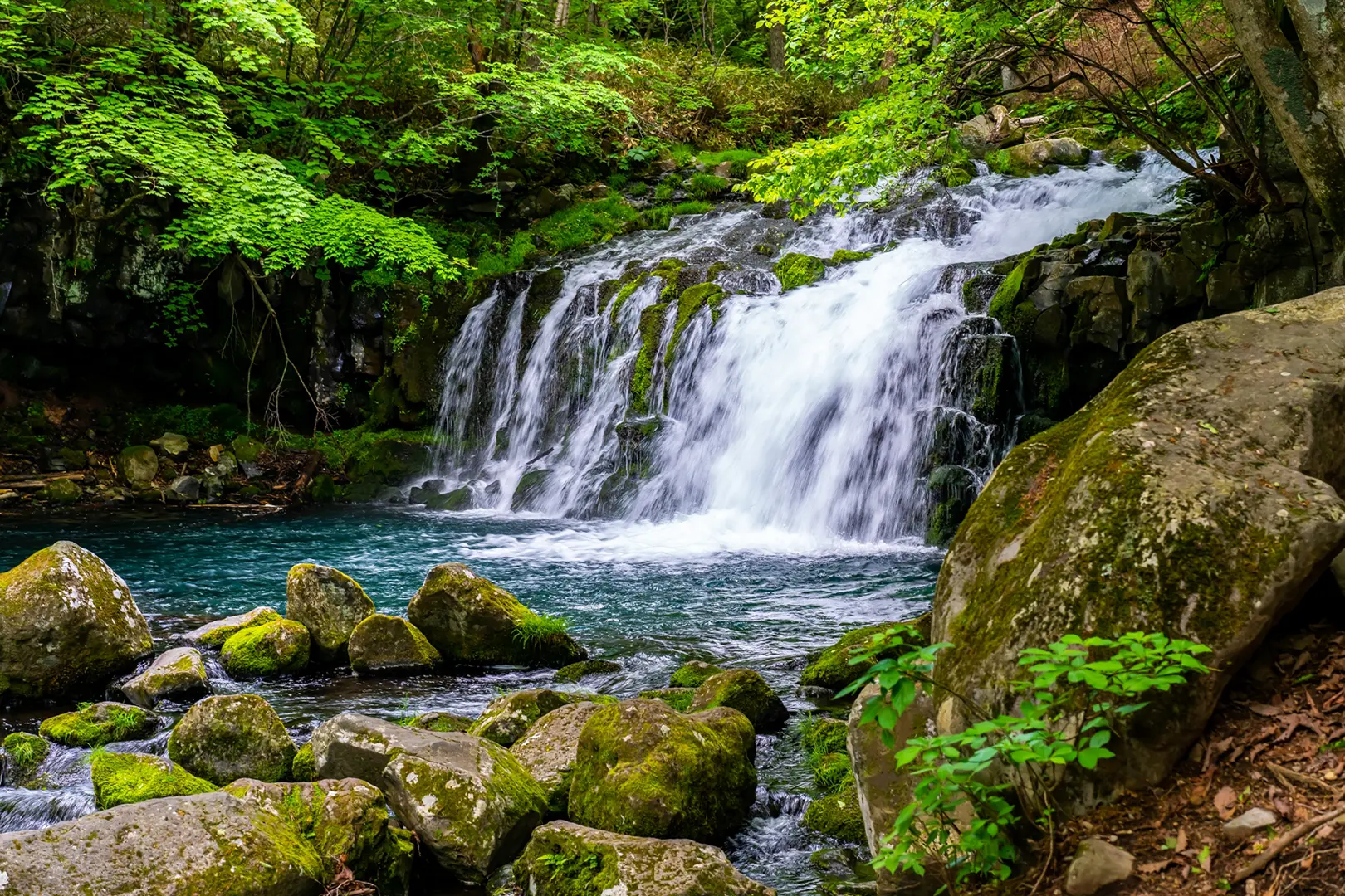 蓼科（長野県）