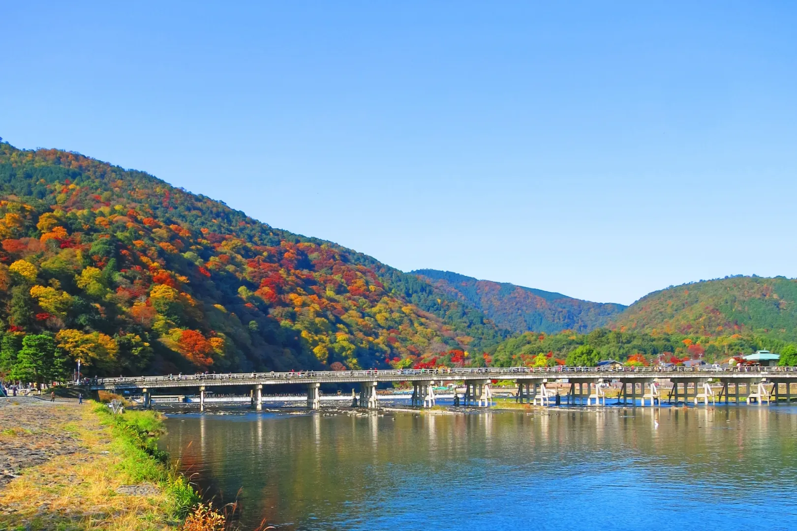 同地域でも山によって異なる