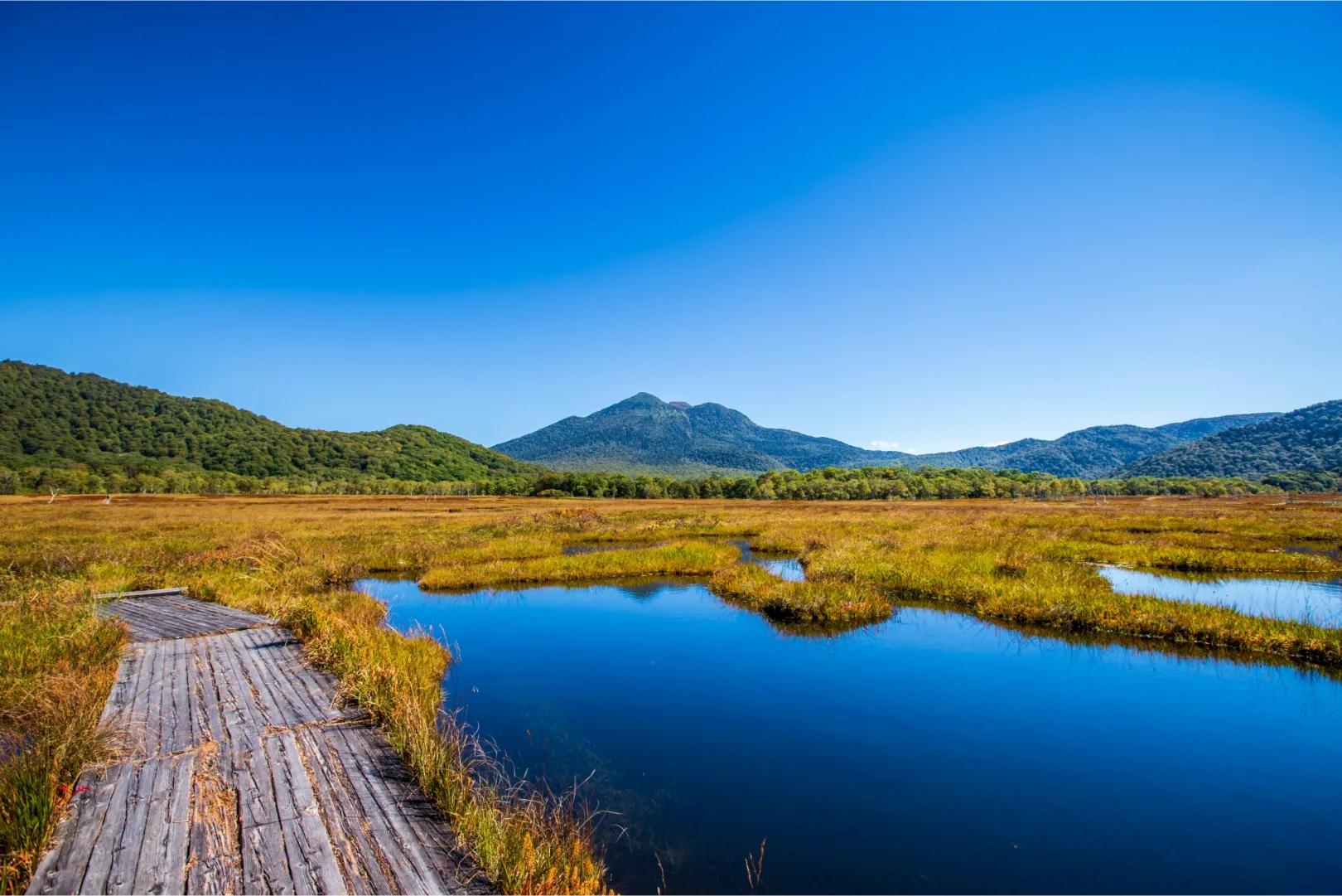 尾瀬(群馬県・福島県)