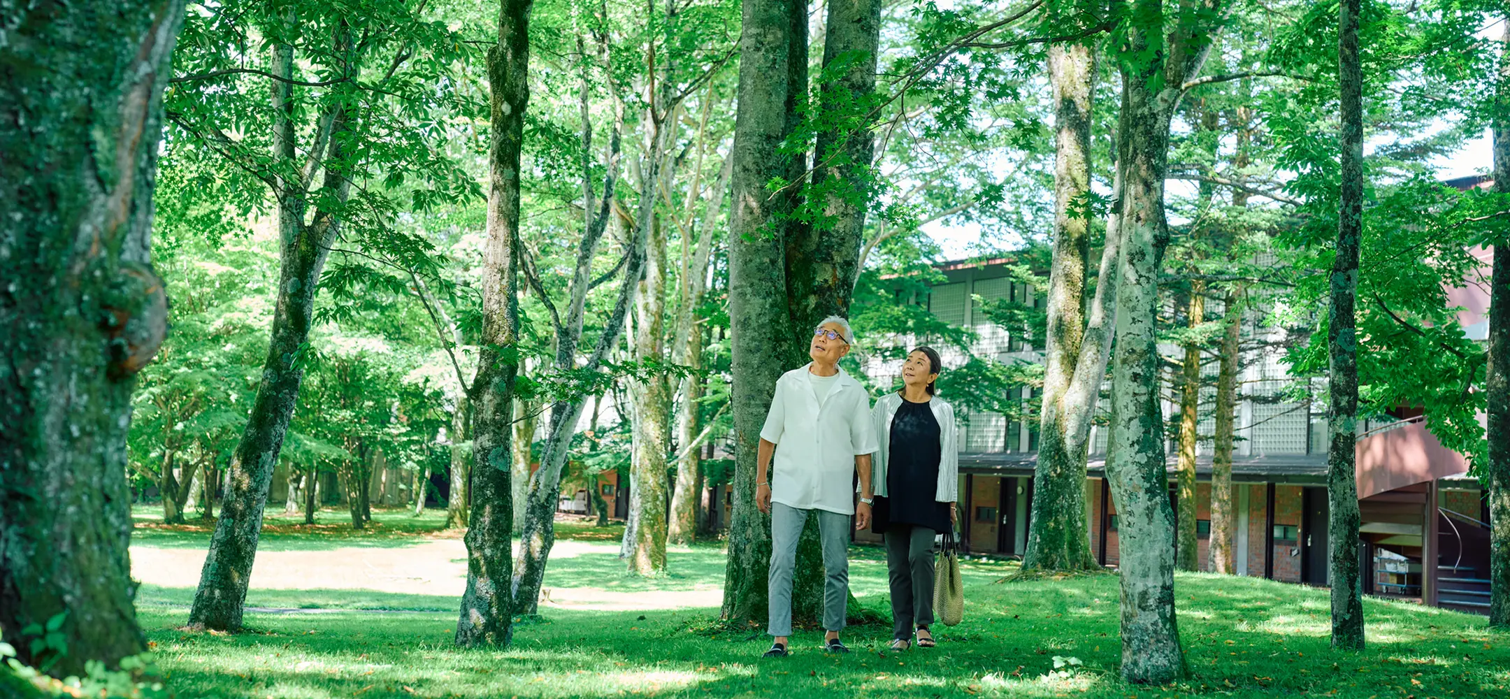 高原の散策
