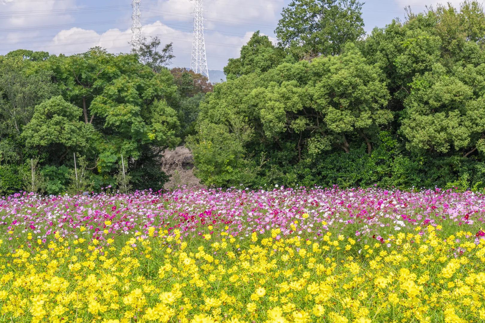 【大阪】万博記念公園