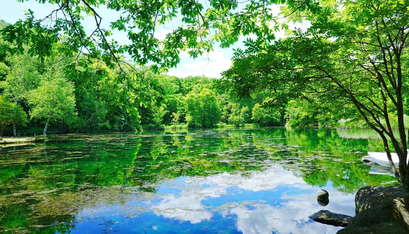 鳥沼公園