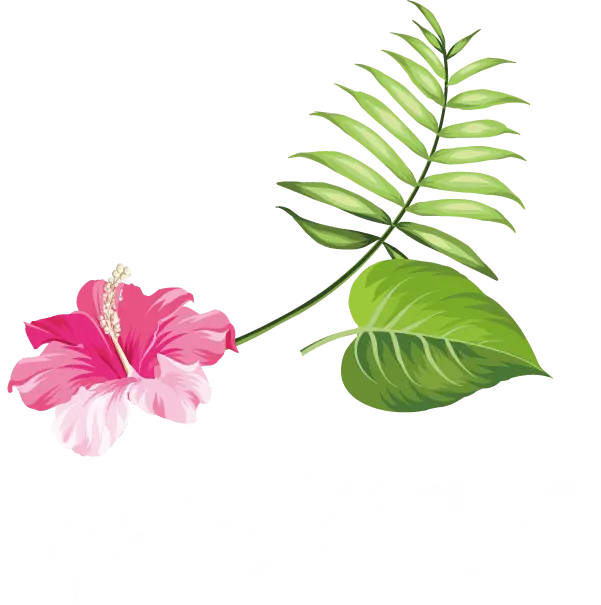 Aloha Breeze