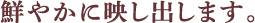 鮮やかに映し出します。