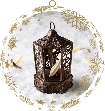 Chocolate Decoration