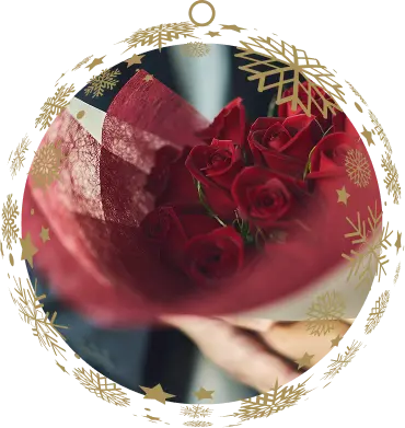 Christmas Proposal with Dozen Roses