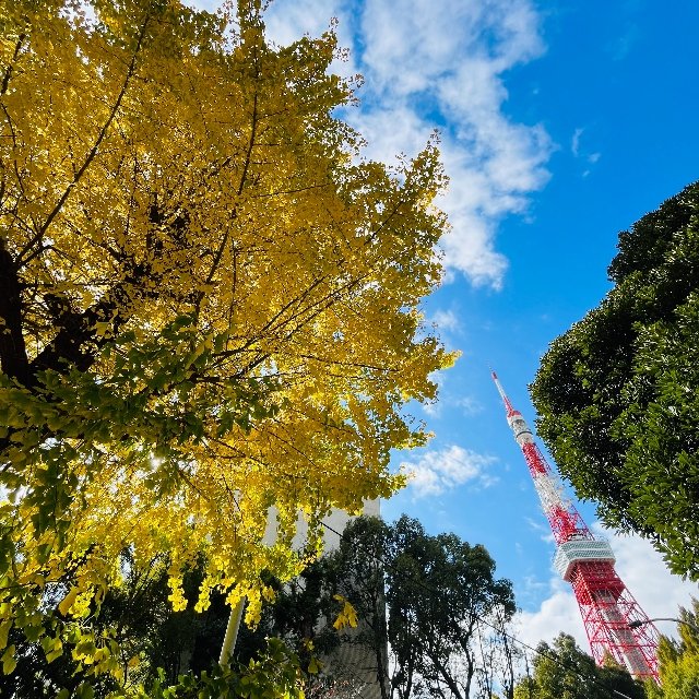 Shiba Park Area 23
