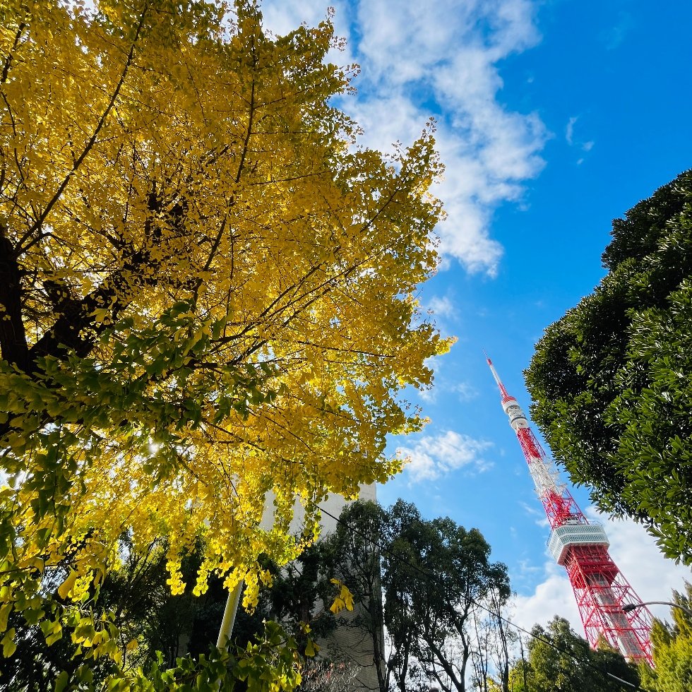 Shiba Park Area 23