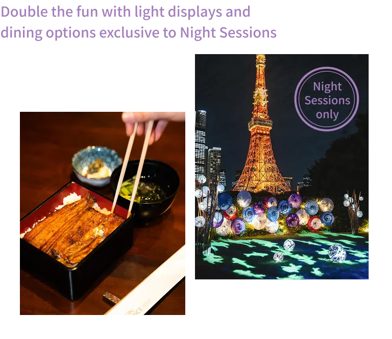 夜の部限定のライトアップやお食事オプションで楽しさ倍増！
