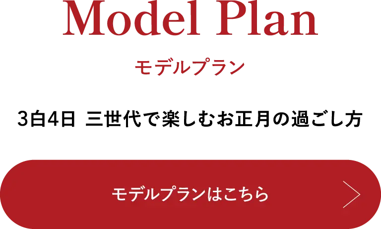 Model Plan