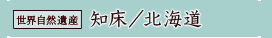 世界自然遺産「知床／北海道」詳細へ