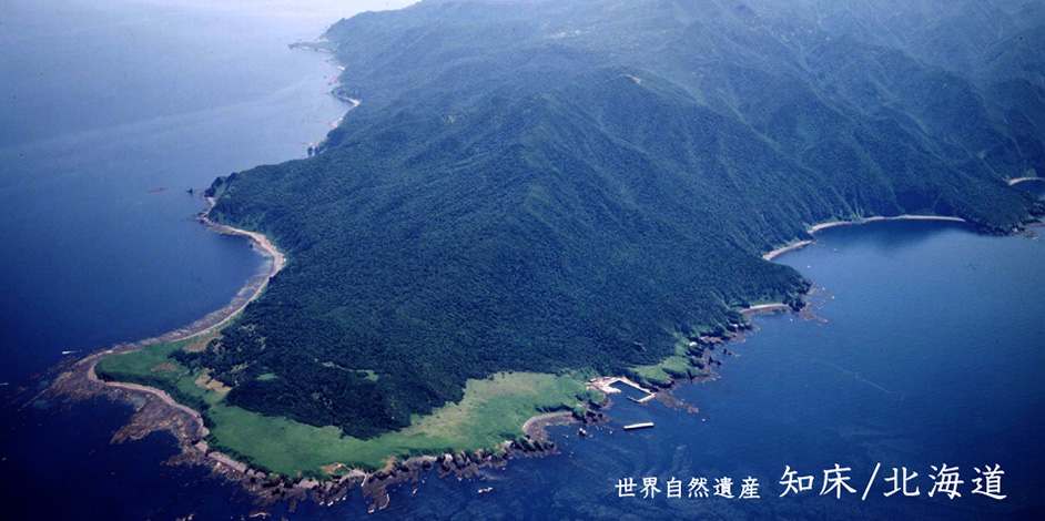 世界自然遺産「知床／北海道」