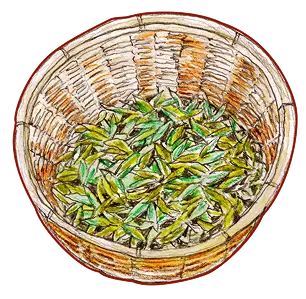 茶葉