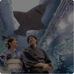 浴衣で涼やか夏旅プラン
