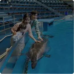 自由研究ステイ